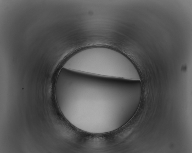 X0000091730304200708241050