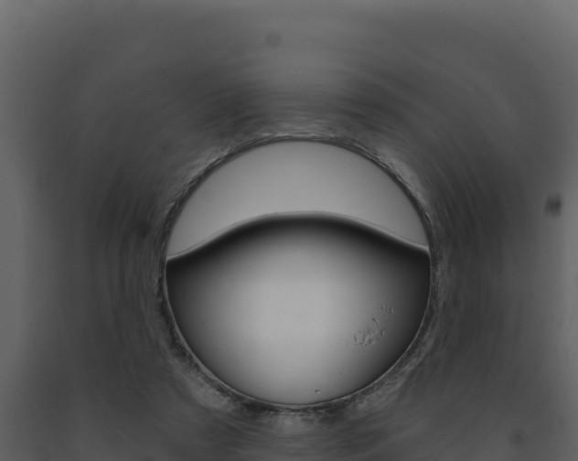 X0000091730305200708241050