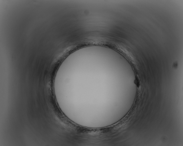 X0000091730306200708241050