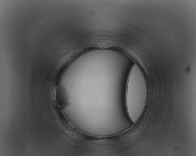 X0000091730307200708241050