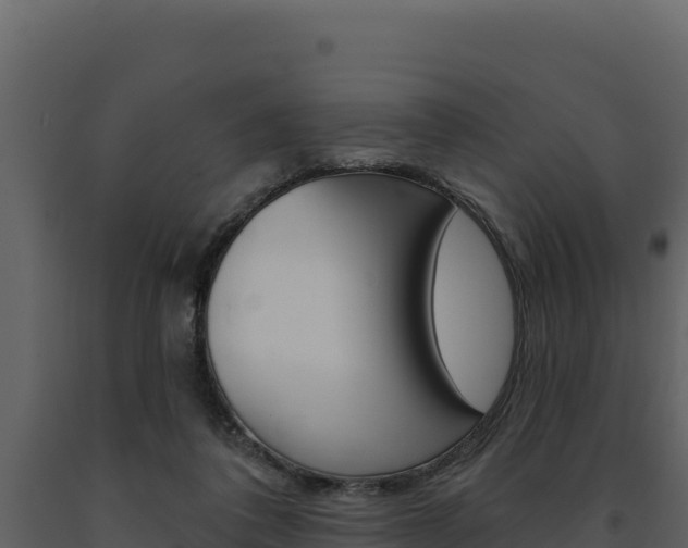 X0000091730308200708241050
