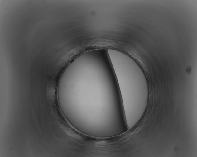X0000091730309200708241050