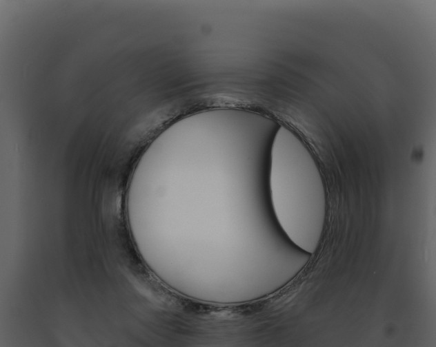 X0000091730310200708241050