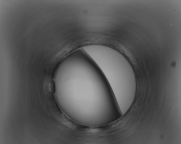 X0000091730313200708241050