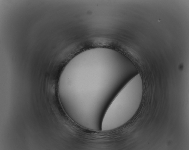 X0000091730315200708241050