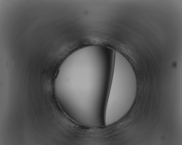 X0000091730317200708241050