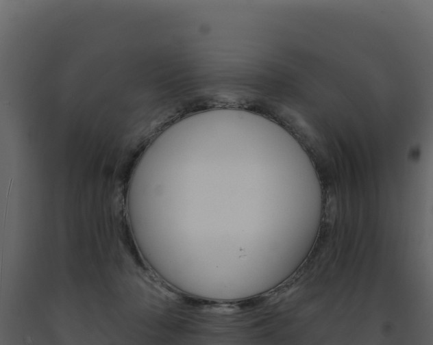 X0000091730318200708241050