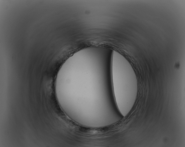 X0000091730319200708241050