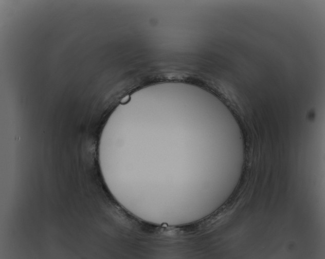 X0000091730321200708241050