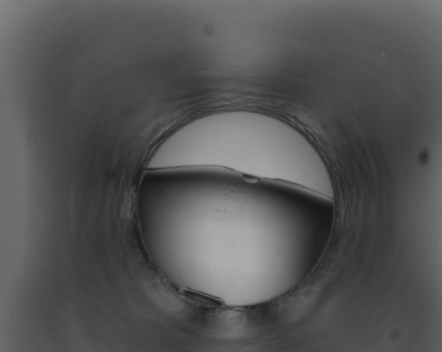 X0000091730325200708241050