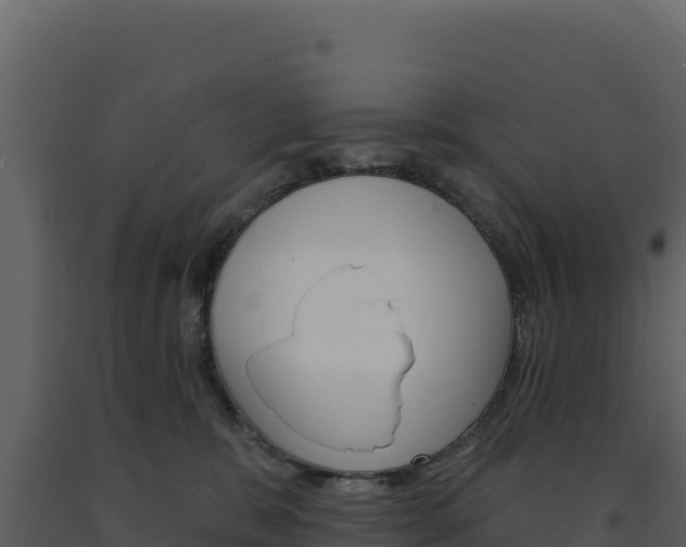 X0000091730327200708241050