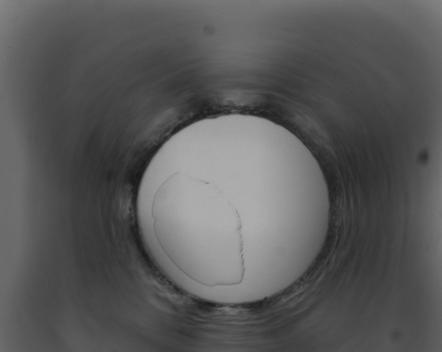 X0000091730328200708241050