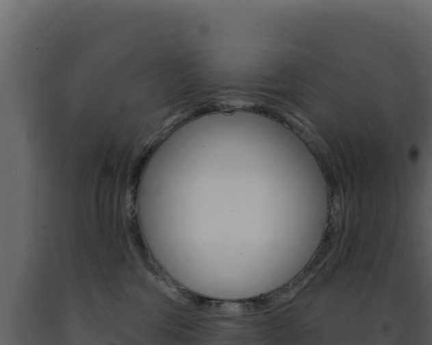 X0000091730330200708241050