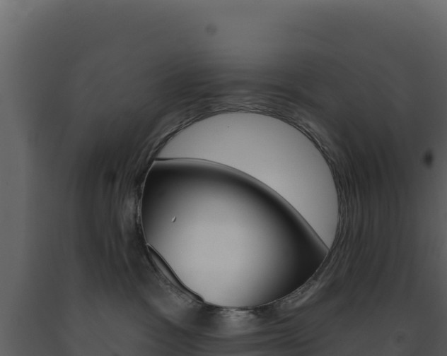 X0000091730333200708241050