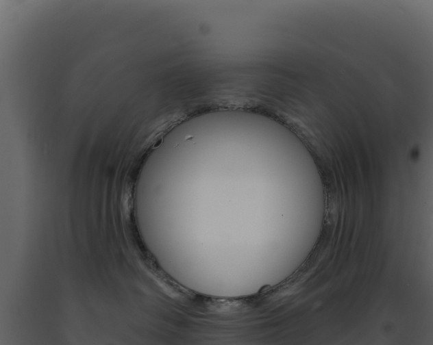 X0000091730334200708241050
