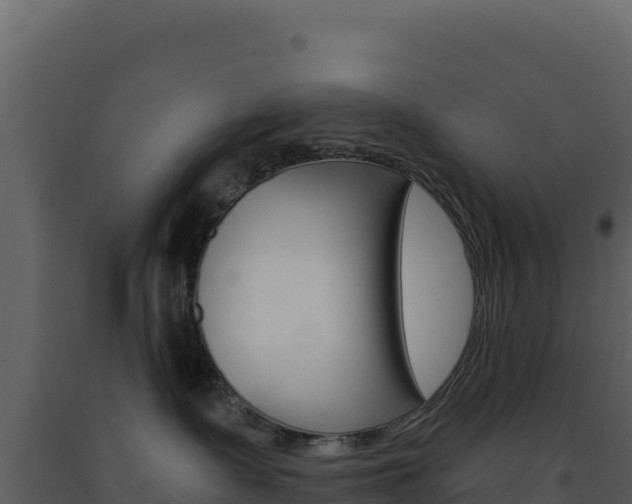 X0000091730335200708241050