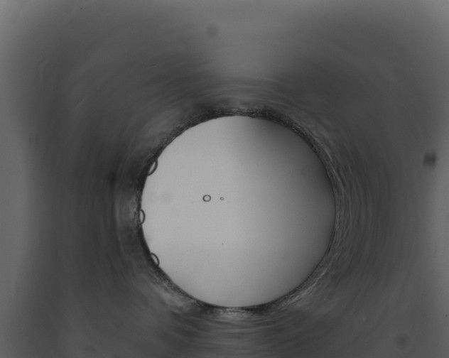 X0000091730336200708241050