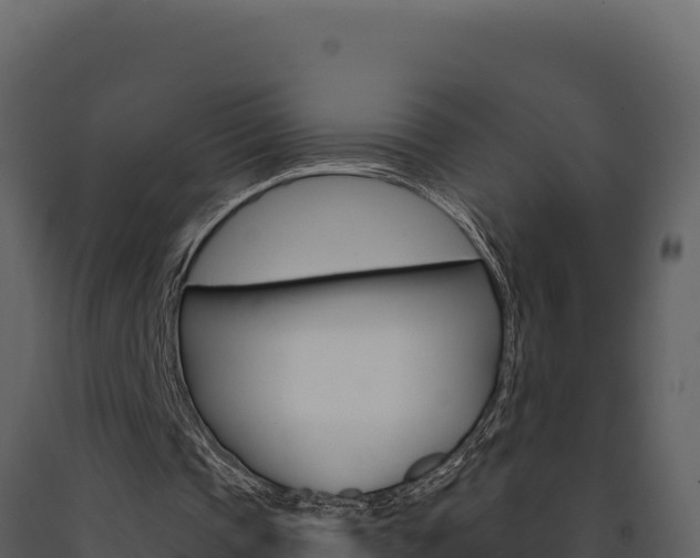 X0000091730337200708241049