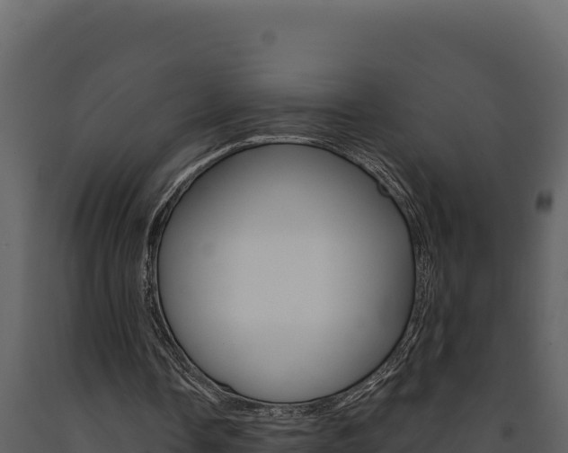 X0000091730338200708241049