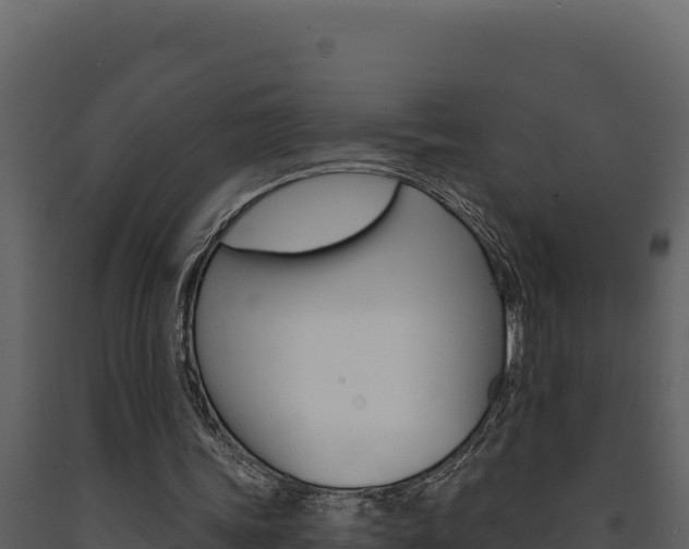 X0000091730339200708241049