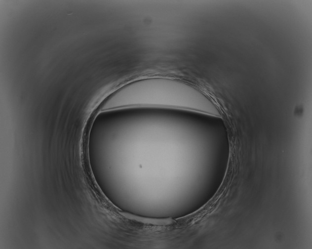 X0000091730340200708241049