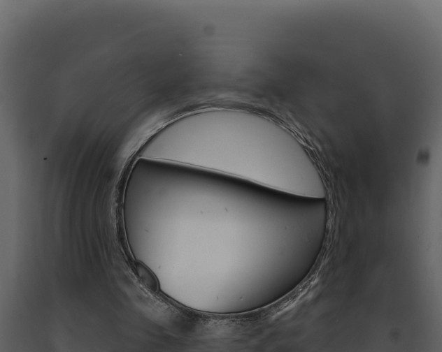 X0000091730341200708241049
