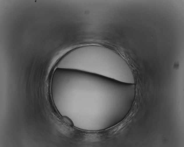 X0000091730342200708241049