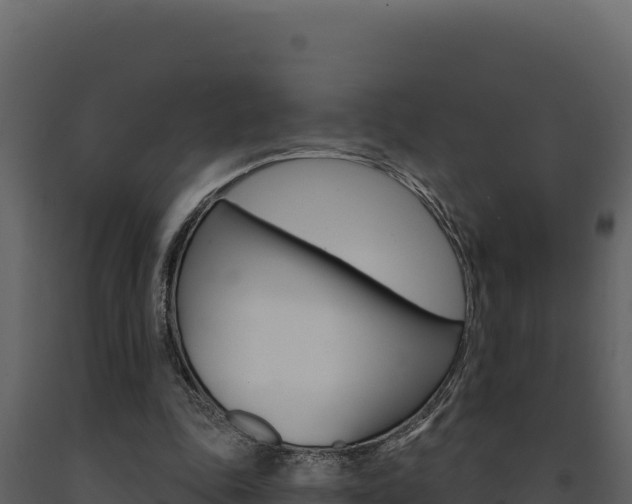 X0000091730343200708241049