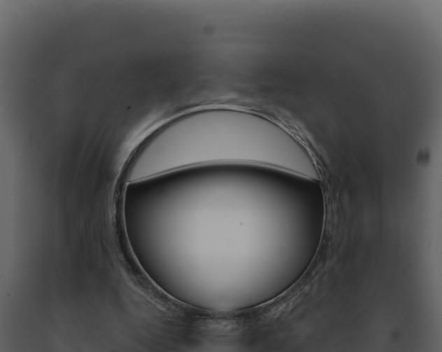 X0000091730344200708241049