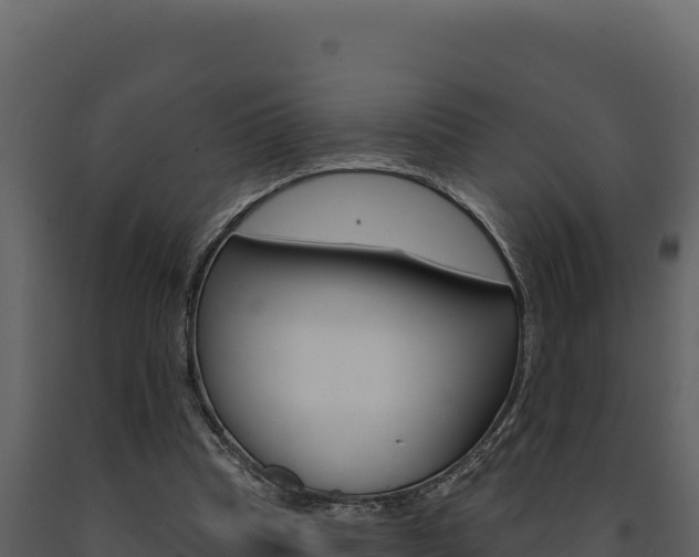 X0000091730345200708241049