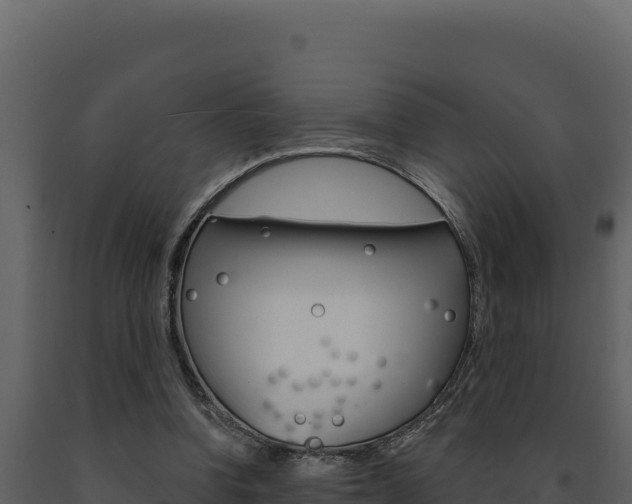 X0000091730346200708241049