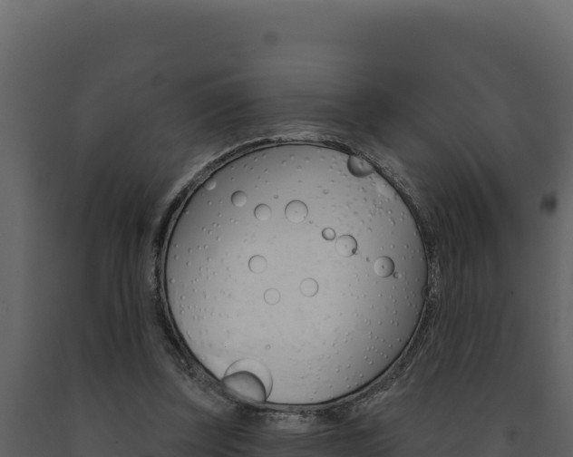 X0000091730347200708241049