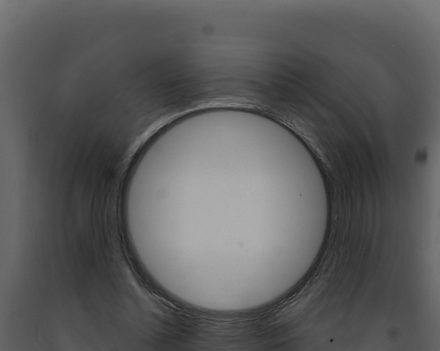 X0000091730348200708241049