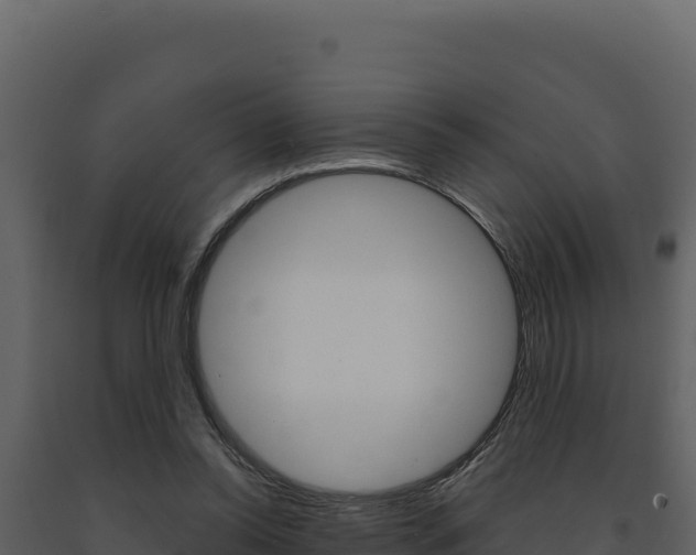 X0000091730350200708241049