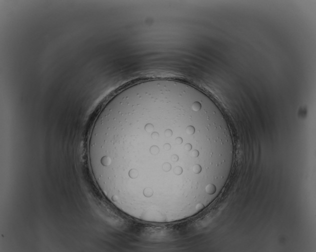 X0000091730351200708241049