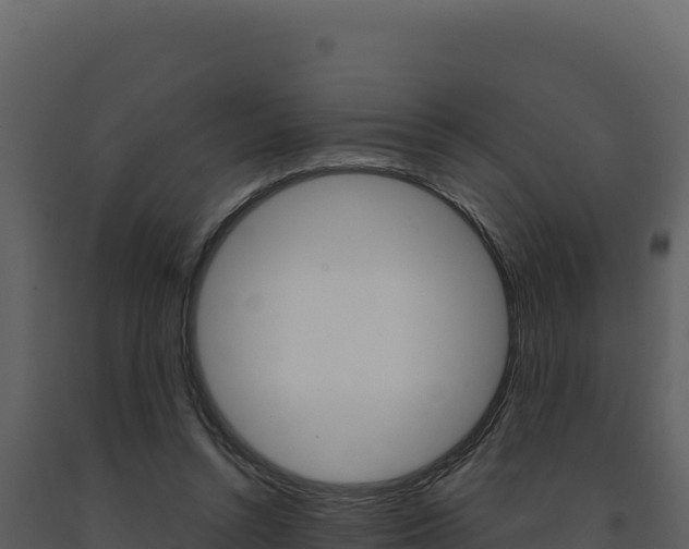 X0000091730352200708241049