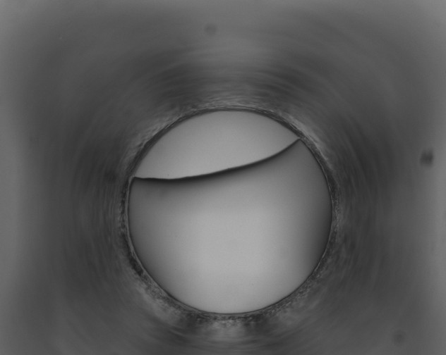 X0000091730353200708241049