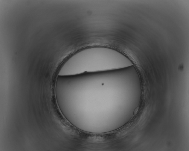 X0000091730354200708241049