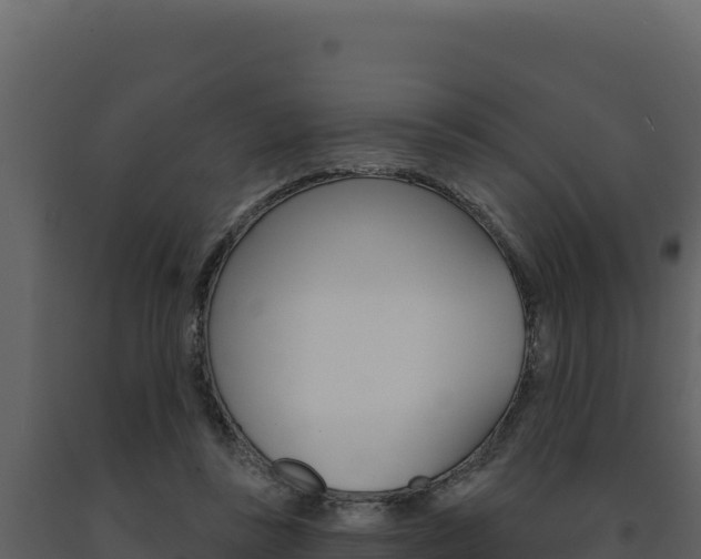 X0000091730355200708241049