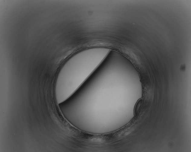 X0000091730358200708241049
