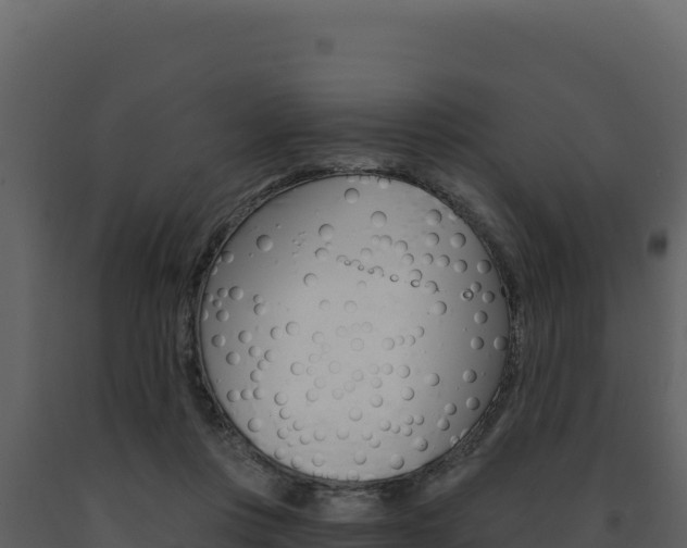 X0000091730359200708241049