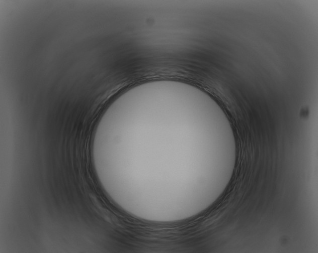 X0000091730360200708241049