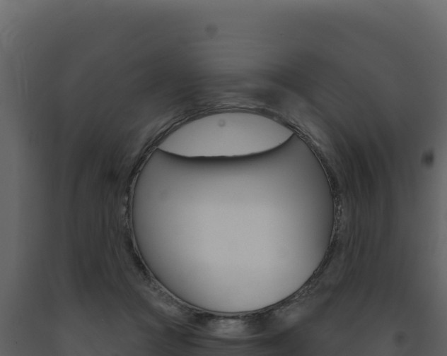 X0000091730361200708241049