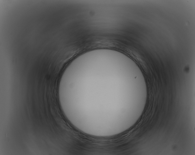 X0000091730362200708241049