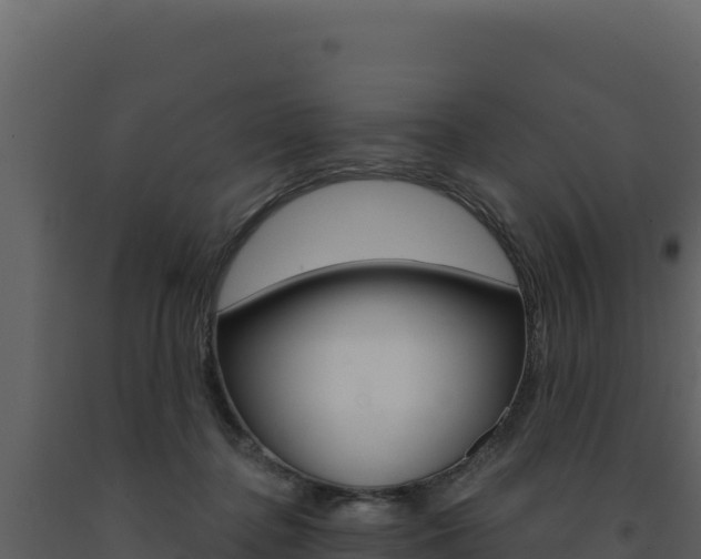 X0000091730364200708241049