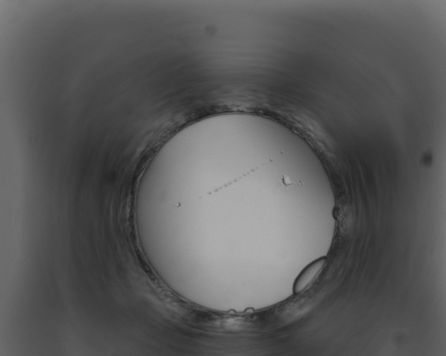 X0000091730365200708241049