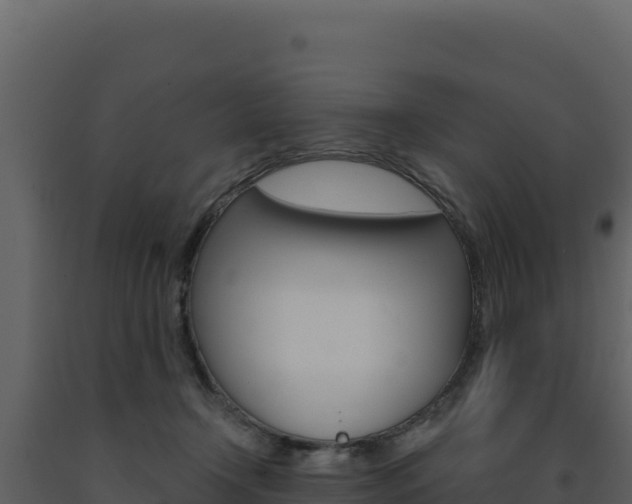 X0000091730366200708241049