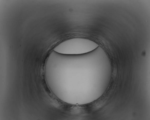 X0000091730367200708241049