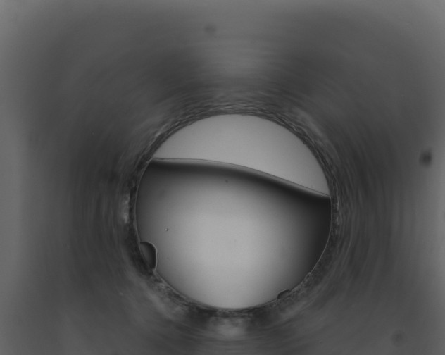 X0000091730368200708241049