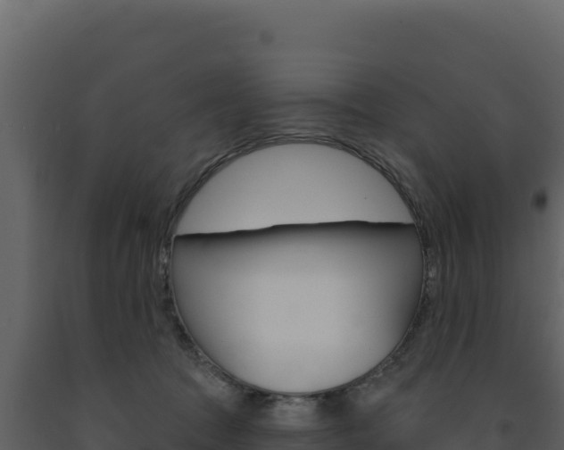 X0000091730369200708241049
